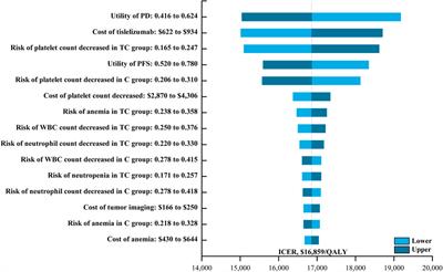 Cost-effectiveness analysis of first-line tislelizumab plus chemotherapy for recurrent or metastatic nasopharyngeal cancer